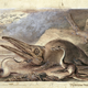 Illustration for article titled Strange 19th Century Drawings of Dinosaurs and Other Extinct Animals